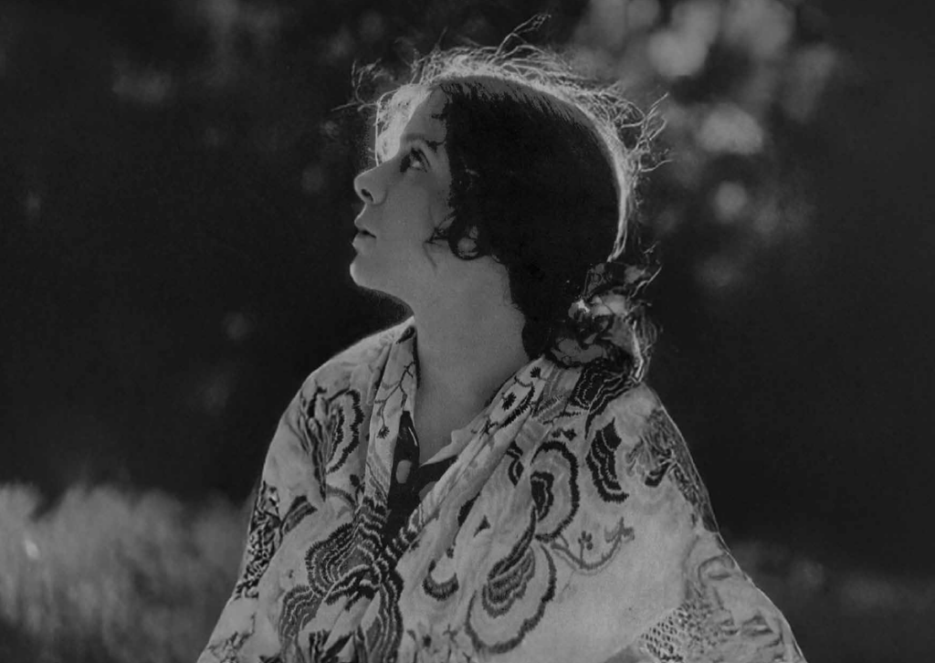 Las Sombras de Catalina Bárcena